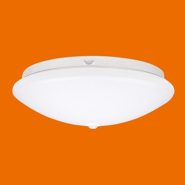 12W Induction Led Ceiling Lamp